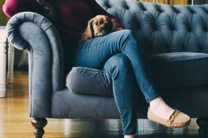 chaussure de confort