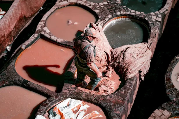 découvrez le tannage végétal, une méthode écologique et durable pour traiter le cuir. apprenez comment cette technique artisanale transforme des matières premières naturelles en produits de haute qualité, respectueux de l'environnement et sans produits chimiques nocifs.