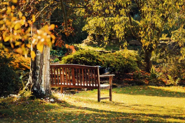 avoir un jardin agréable