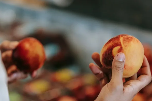 découvrez notre large sélection de couleurs pour montres, qui vous permet d'exprimer votre style unique. que vous préfériez des teintes classiques ou des couleurs audacieuses, trouvez la montre qui vous ressemble et ajoutez une touche de personnalité à votre poignet.