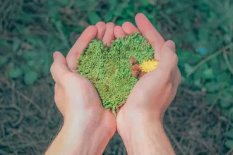 découvrez comment adopter un mode de vie durable grâce à des conseils pratiques, des astuces écologiques et des solutions innovantes pour préserver l'environnement au quotidien.
