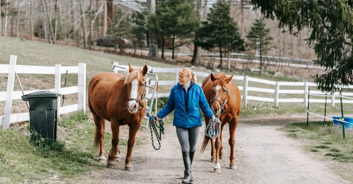 découvrez notre sélection de bottes d'équitation alliant confort, style et sécurité pour cavaliers débutants et confirmés. choisissez la paire idéale pour vos besoins, que ce soit pour l'entraînement, la compétition ou la balade à cheval.