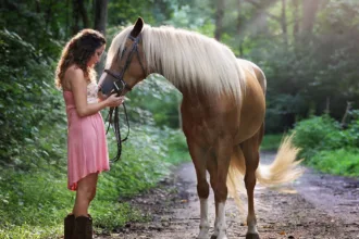 découvrez notre sélection de bottes d'équitation alliant confort, style et performance, idéales pour les cavaliers débutants comme confirmés. trouvez la paire parfaite pour une expérience équestre optimale !