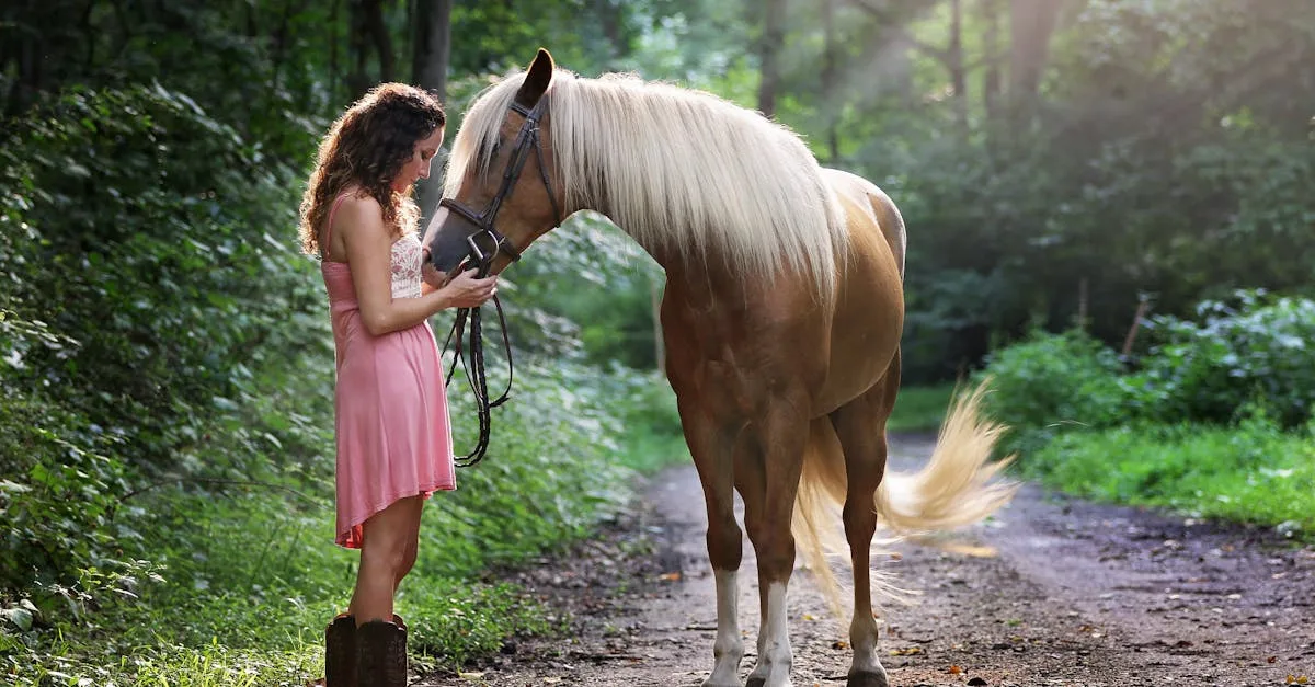 découvrez notre sélection de bottes d'équitation alliant confort, style et performance, idéales pour les cavaliers débutants comme confirmés. trouvez la paire parfaite pour une expérience équestre optimale !