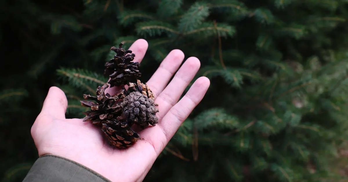 découvrez des créations faites main avec passion et savoir-faire. nos produits handcrafted allient authenticité, qualité et originalité pour sublimer votre quotidien.