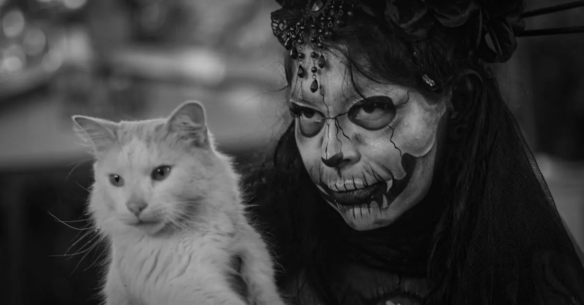 découvrez notre collection de kitten heels, des chaussures élégantes à petit talon parfaites pour allier confort et style au quotidien. idéal pour sublimer vos tenues en toute légèreté !