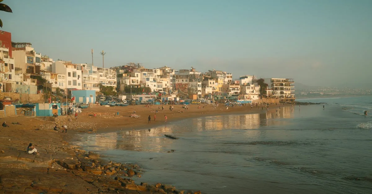 découvrez agro-community, la plateforme dédiée aux passionnés d'agriculture pour échanger, partager des conseils et promouvoir des pratiques agricoles durables.