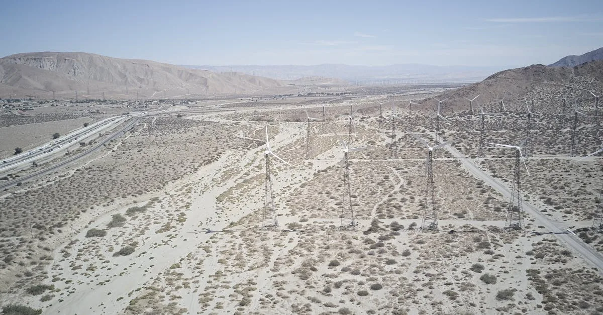 découvrez des alternatives écologiques aux poisons létaux pour contrôler les martres de manière respectueuse de l'environnement et sans danger pour la faune.