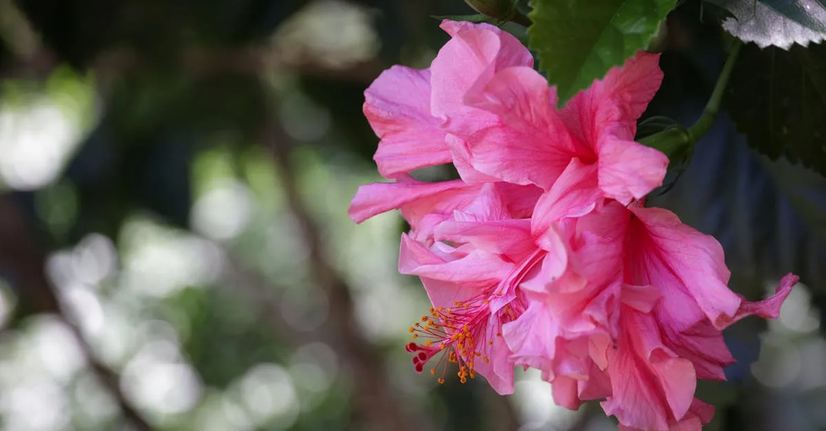 découvrez green blossom blog, votre source d'inspiration pour un mode de vie écologique, des conseils durables et des idées pour protéger la planète au quotidien.