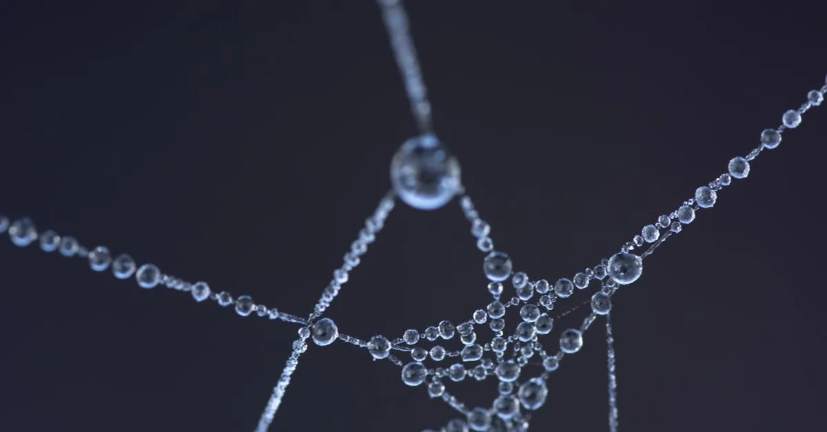 découvrez les risques du lifting par fil en soie coréenne, une technique esthétique populaire. informez-vous sur les précautions à prendre et les possibles effets secondaires.