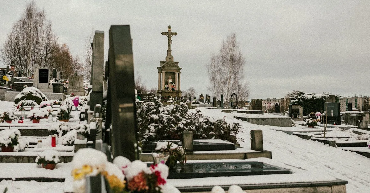 découvrez les événements dramatiques de la saison 19 de sandhamn, avec un focus sur la mort d'alexander et ses conséquences dans la série.