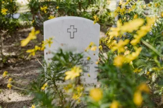 découvrez les révélations choc de la saison 19 de sandhamn, avec le mystère entourant la mort d'alexander et ses conséquences dramatiques.