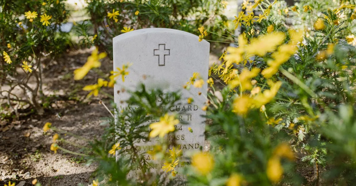 découvrez les révélations choc de la saison 19 de sandhamn, avec le mystère entourant la mort d'alexander et ses conséquences dramatiques.
