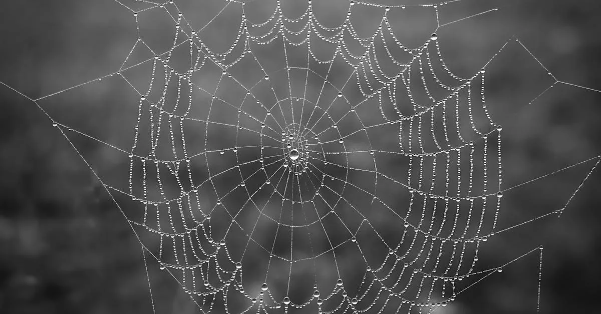 découvrez nos solutions efficaces pour éliminer l'humidité dans vos chaussures et garder vos pieds au sec toute la journée.