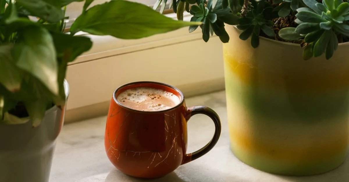 découvrez nos céramiques dentaires de haute qualité, idéales pour des restaurations esthétiques et durables en dentisterie.