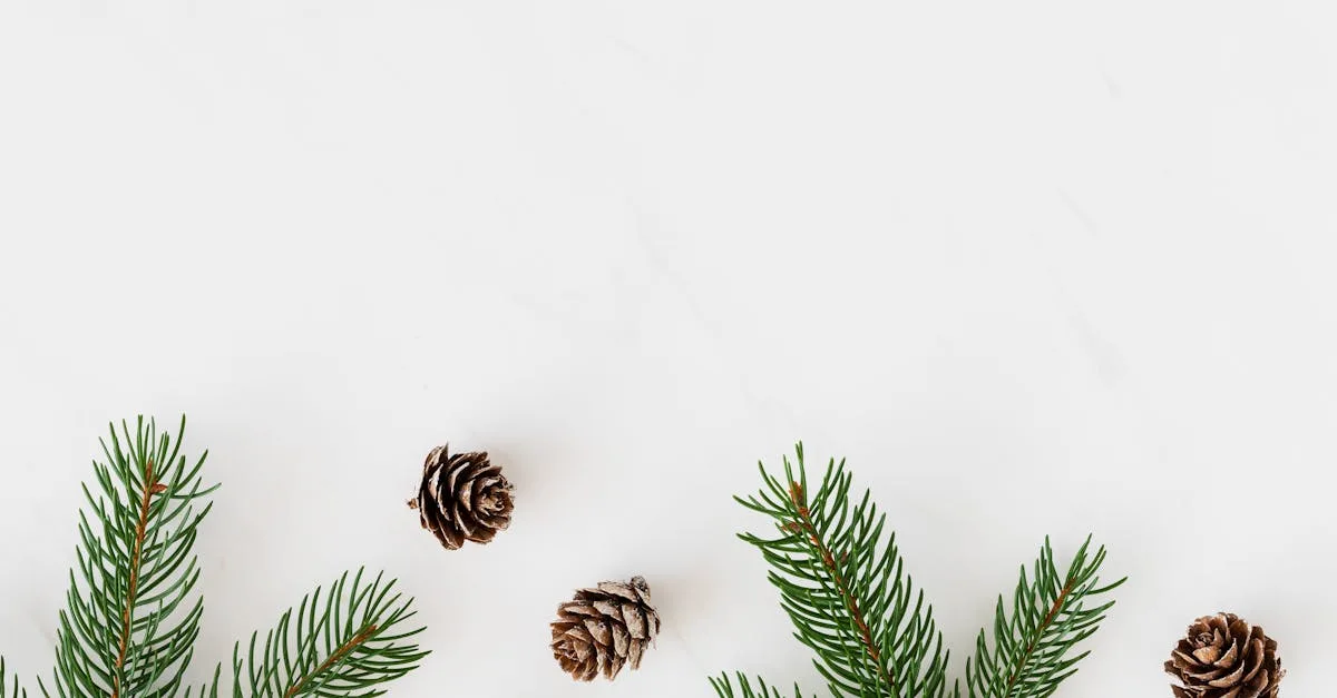 découvrez detachen, la solution innovante pour détacher efficacement toutes vos surfaces. facile à utiliser, detachen élimine les taches tenaces rapidement et en toute sécurité.