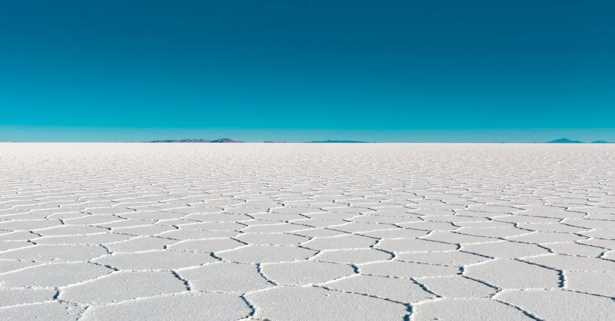 découvrez la vanlife : un mode de vie nomade et aventureux, alliant liberté, simplicité et connexion avec la nature à bord de votre van aménagé.