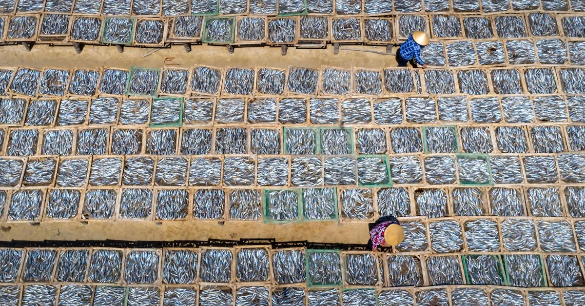 découvrez des pratiques durables pour protéger l'environnement et promouvoir un mode de vie responsable et éco-responsable.