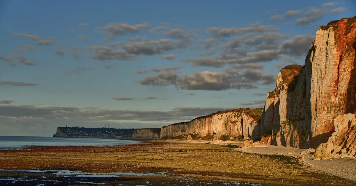 découvrez nos lodges charmants en normandie, alliant confort et authenticité pour un séjour inoubliable au cœur de la nature normande.