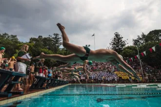 noomba sport : votre destination pour tout l'équipement sportif, des vêtements aux accessoires, alliant qualité et performance pour tous les niveaux.