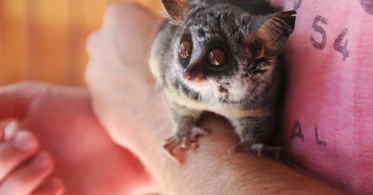 découvrez le concept de netechangiste, une approche innovante axée sur l'échange et le partage numérique pour optimiser vos interactions en ligne.