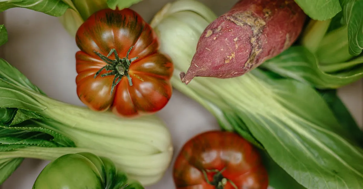 découvrez des conseils et informations essentielles sur la nutrition pour adopter une alimentation saine et équilibrée au quotidien.